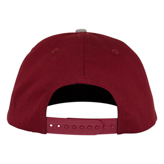 SANTA CRUZ NATAS MFG PANTHER STRUCTURED SNAPBACK HAT