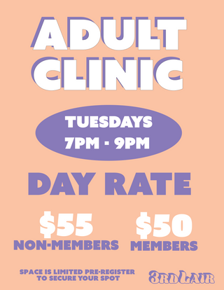 2026 ADULT SKATEBOARD CLINIC (DAY RATE)