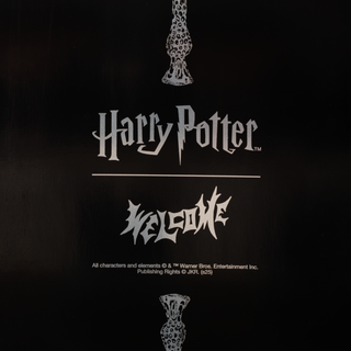 WELCOME X HARRY POTTER FINALE ON BOLINE 2.0 DECK (BLACK DIP)