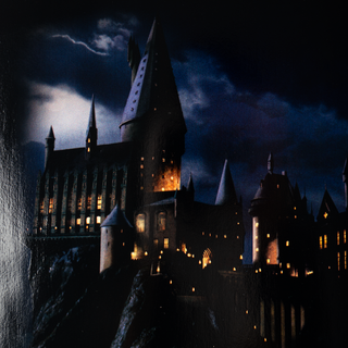 WELCOME X HARRY POTTER ARRIVAL ON SLAPPY DECK (BLK/GOLD)
