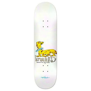 KROOKED GONZ DASCHSHUND