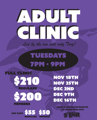 2025 ADULT SKATEBOARD CLINIC SESSION #9